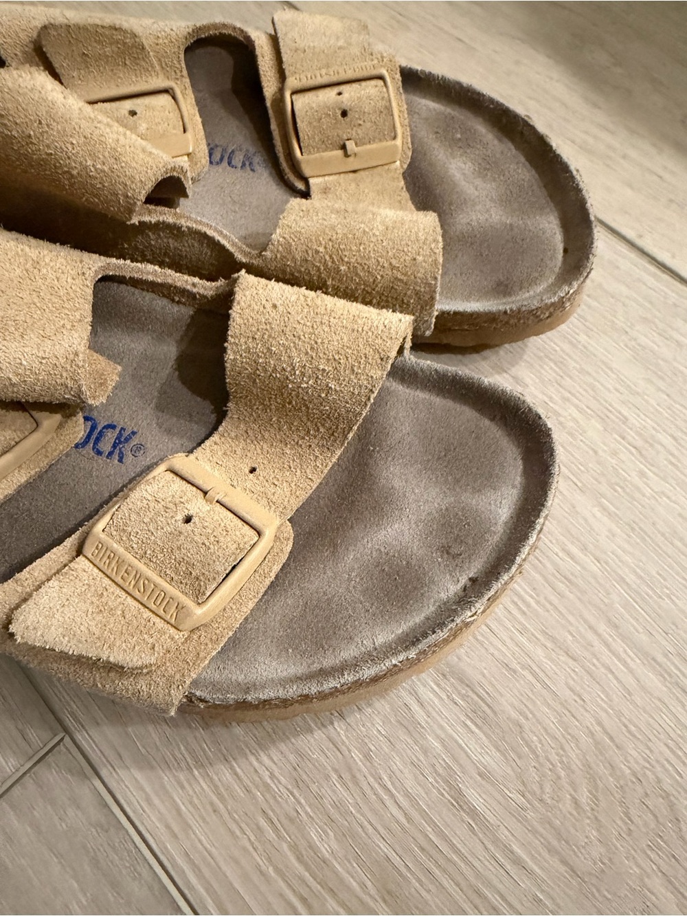 Birkenstock Arizona Soft Footbed Suede - Picture 9 of 12